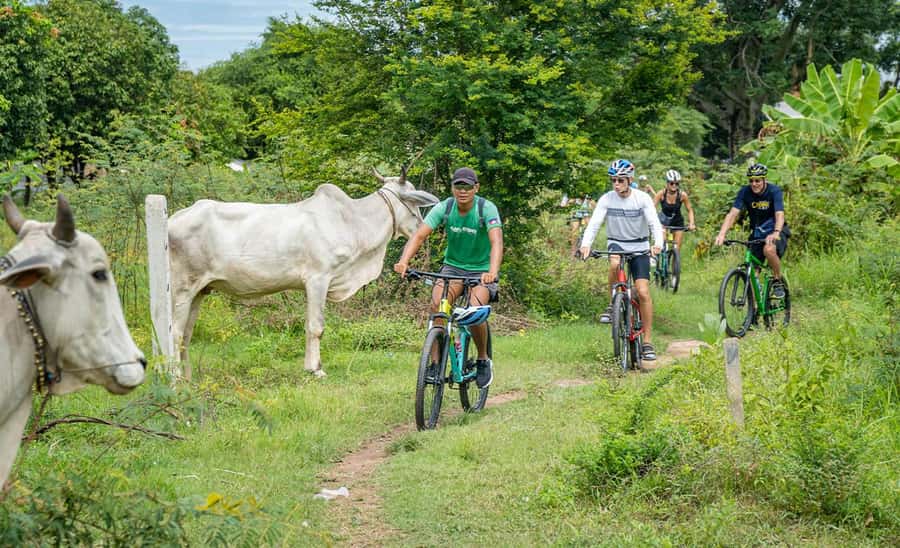 Phnom Penh: Silk Islands Half-Day Bike Tour - Akreiy Ksatr Village and the ride back
