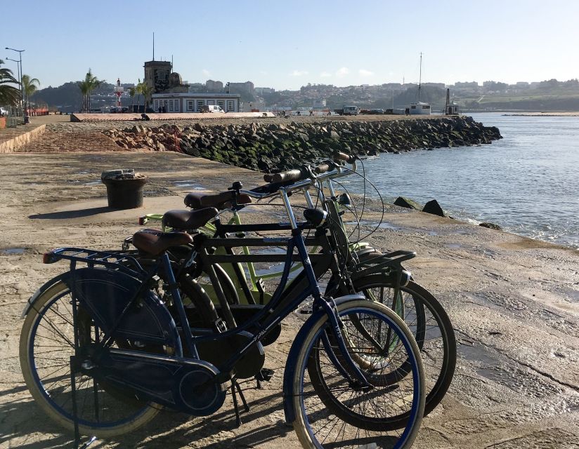 Porto: Riverside Panoramic E-Bike Tour - Parque da Cidade, Porto’s green finish