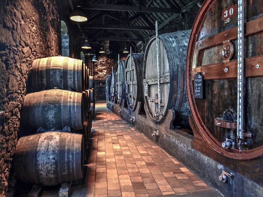 Porto: Self-Guided Bike and Boat Tour with Port Wine Tasting - What the $76 price really buys you