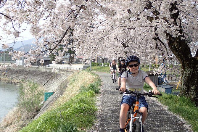 Private Afternoon Cycling Tour in Hida-Furukawa - A local market and small stops add meaning