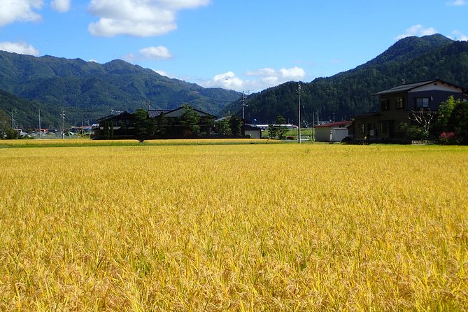 Private Afternoon Cycling Tour in Hida-Furukawa - The old town gives the ride its cultural start
