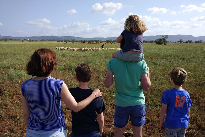 Private Bike Tour with Olive Oil Tasting - What the private format adds