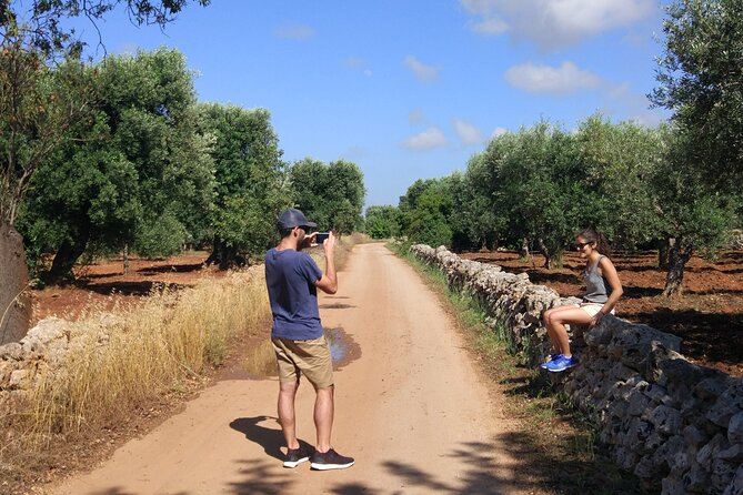 Private Bike Tour with Olive Oil Tasting - The weather clause deserves attention