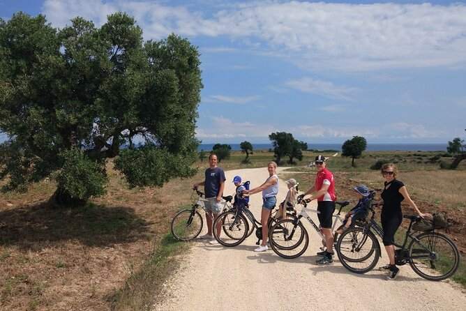 Private Bike Tour with Olive Oil Tasting - How the price compares with the experience