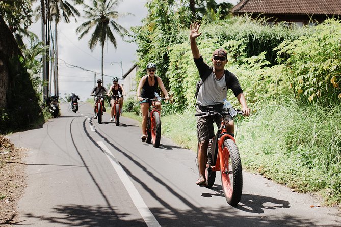 Private Fat Tire E-Bike Tour in Ubud - A private ride with room to shape the route