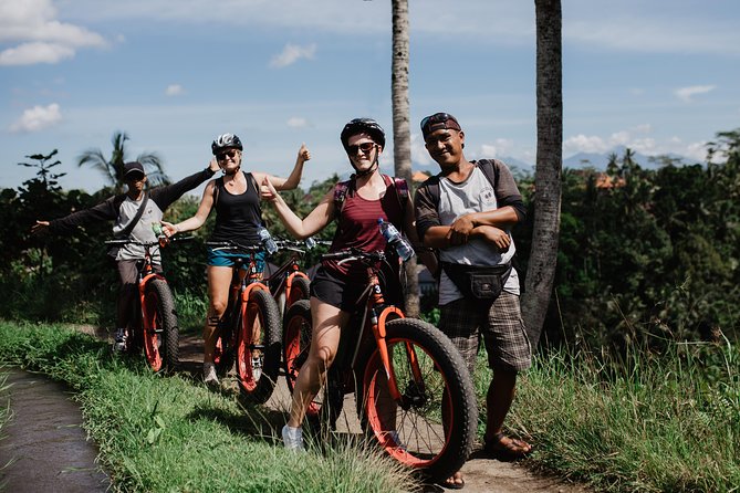 Private Fat Tire E-Bike Tour in Ubud - Rice fields, village roads, and local culture