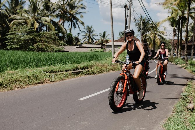 Private Fat Tire E-Bike Tour in Ubud - Tegalalang Rice Terrace in a quick 15-minute stop