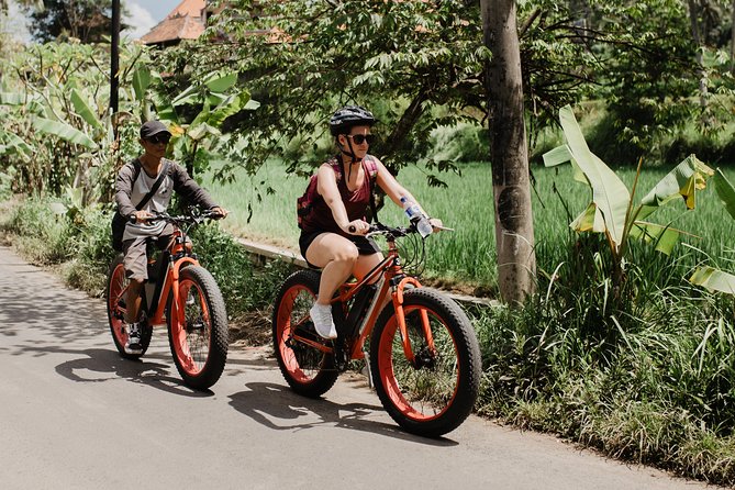 Private Fat Tire E-Bike Tour in Ubud - The guides make the difference