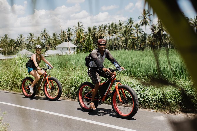 Private Fat Tire E-Bike Tour in Ubud - What is included, and what needs checking
