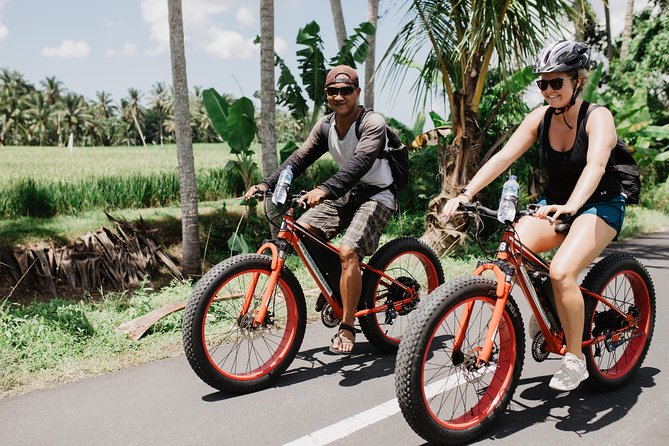 Private Fat Tire E-Bike Tour in Ubud - Leaving Ubud’s center by bicycle