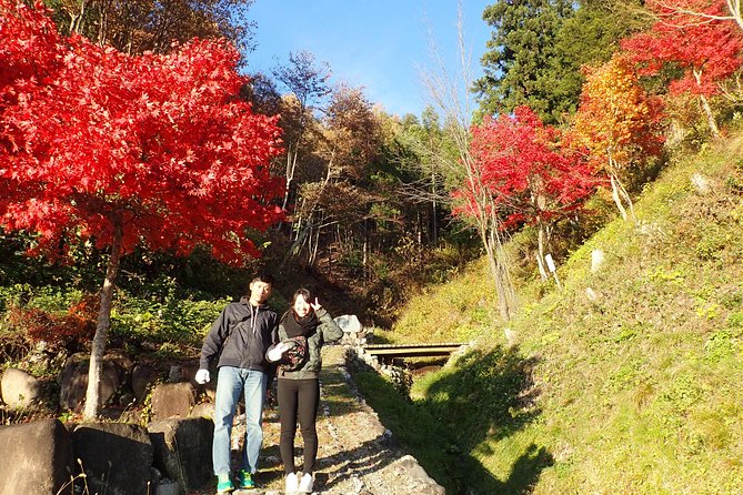 Private-group Morning Cycling Tour in Hida-Furukawa - Rice Paddies, Mountain Views, and Satoyama