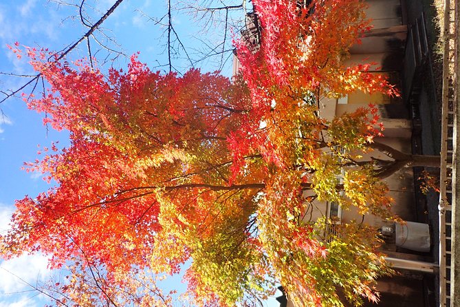 Private-group Morning Cycling Tour in Hida-Furukawa - Rain Plans and What to Expect From the Staff