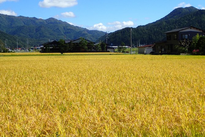 Private-group Morning Cycling Tour in Hida-Furukawa - Getting Ready at 11-32 Furukawachō Ninomachi