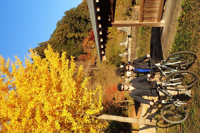 Private-group Morning Cycling Tour in Hida-Furukawa - Should You Book the Hida-Furukawa Ride?