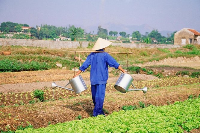 Private Hoi An Evening Food Tastings Tour by Bike - Key points at a glance