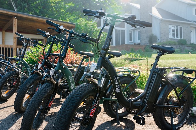 Quebec City - Electric Bike Rental on Ile d'Orléans - Berries, Chocolate, Wine, and Ice Cream