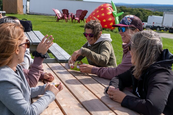 Quebec City - Guided E-Bike Tour & Tastings - Ile d'Orléans - Vineyard Views and Wine at Saint-Pierre Le Vignoble