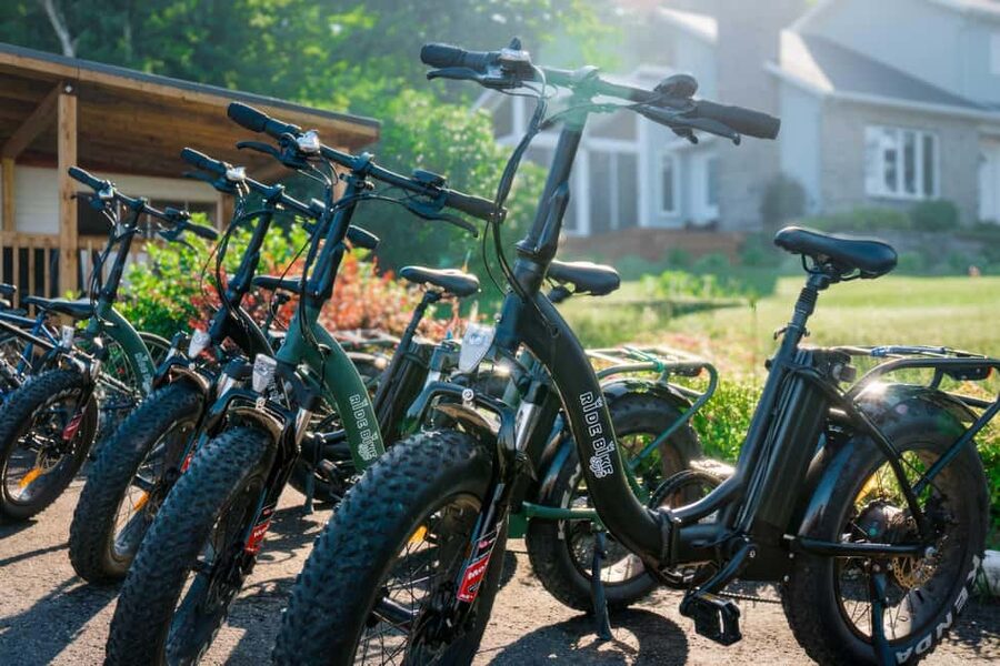 Quebec City: Ile d'Orléans Guided E-Bike Tour with Tastings - Guides are a major part of the experience