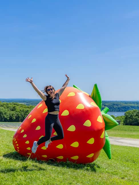 Quebec City: Ile d'Orléans Guided E-Bike Tour with Tastings - Riding the island’s roads without bike lanes