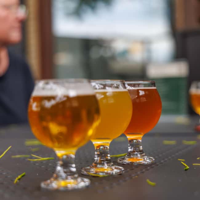 Quebec City: Montmorency Falls and Microbrewery eBike Tour - Why this route works better than a simple waterfall visit