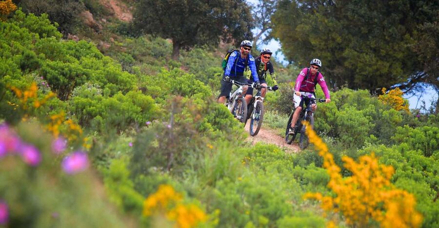 Ramatuelle: Tracks & Tasting Winery Tour by Mountain E-Bike - Key points to know before you ride