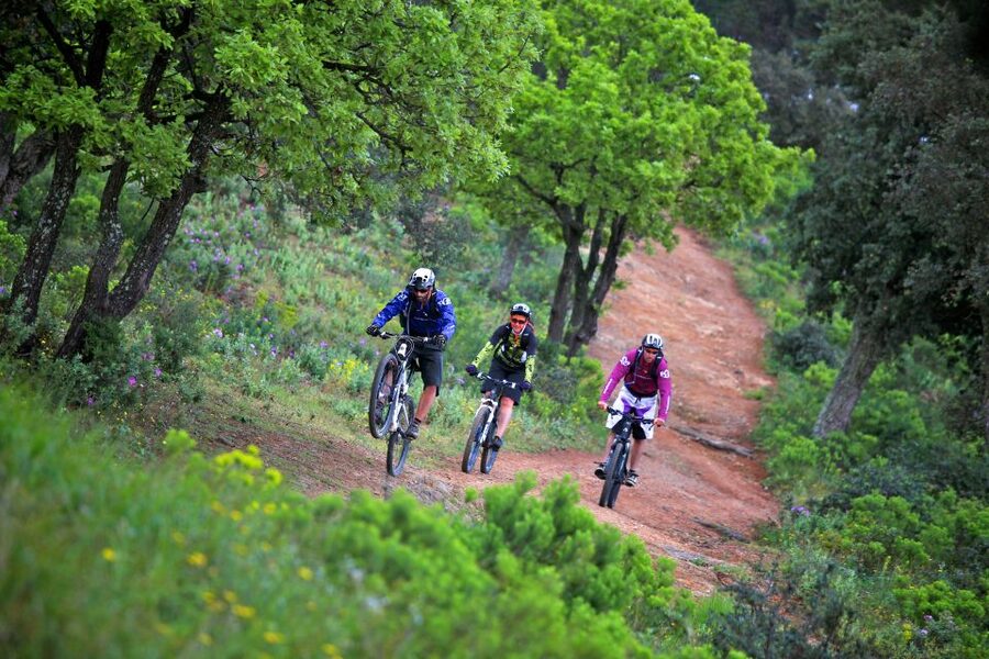 Ramatuelle: Tracks & Tasting Winery Tour by Mountain E-Bike - Riding forest tracks with electric help