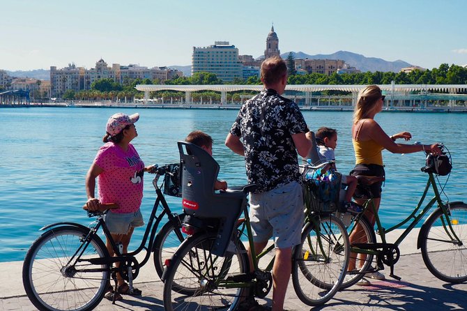 Rent a City Bike: Full Day 24 hours - Bikes, baskets, helmets, and family equipment