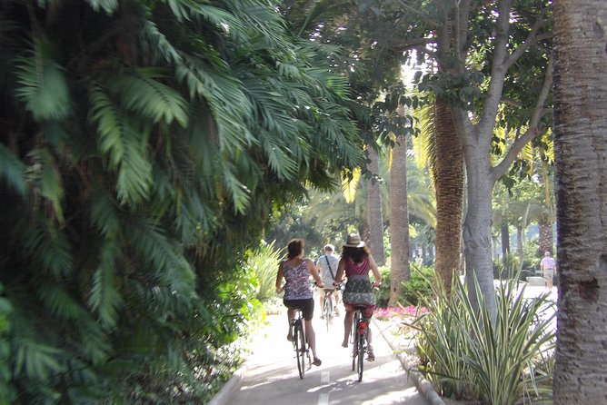 Rent a City Bike: Full Day 24 hours - The old center, port, and city parks