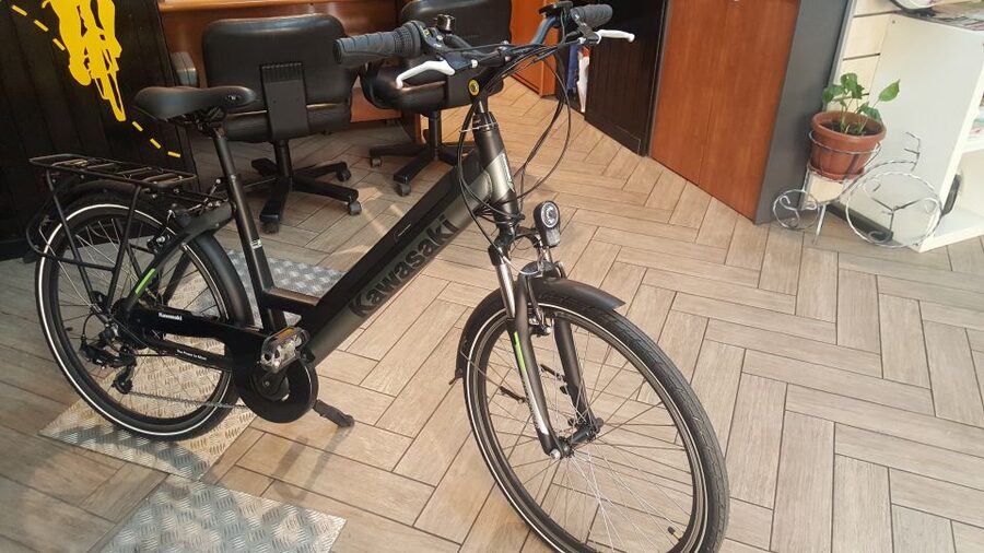 Rome: Electric Bike Rental - Who will enjoy this rental most