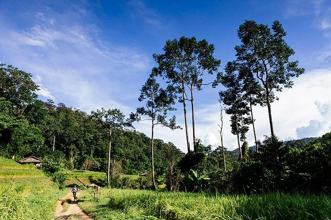 Rural Explorer Mountain Biking Tour Chiang Mai - Riding beyond Chiang Mai’s city streets