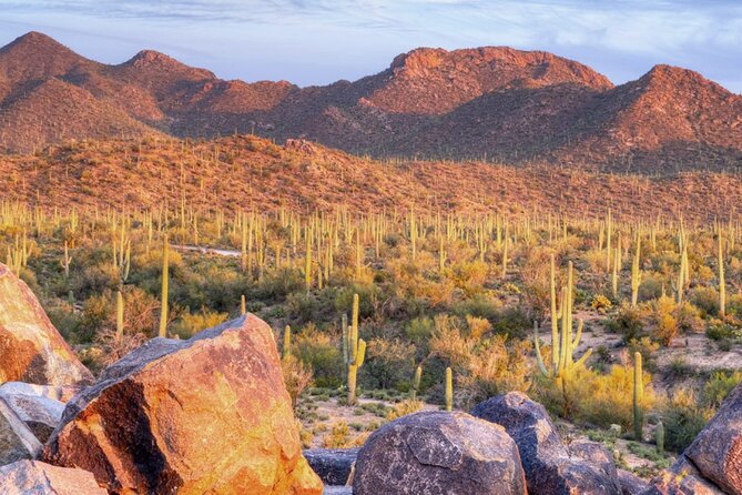 Saguaro National Park East E-Bike Tour - Why an E-Bike Works So Well in Saguaro National Park East