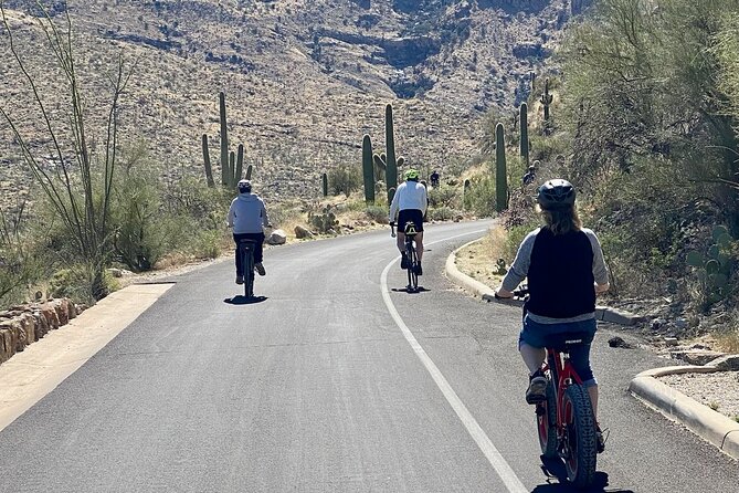 Saguaro National Park East E-Bike Tour - Starting at Saguaro Corners