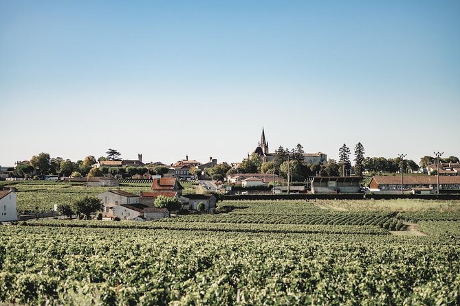 Saint-Emilion Electric Bike Day Tour with Wine Tastings & Lunch - Is the $217.67 Price Good Value?