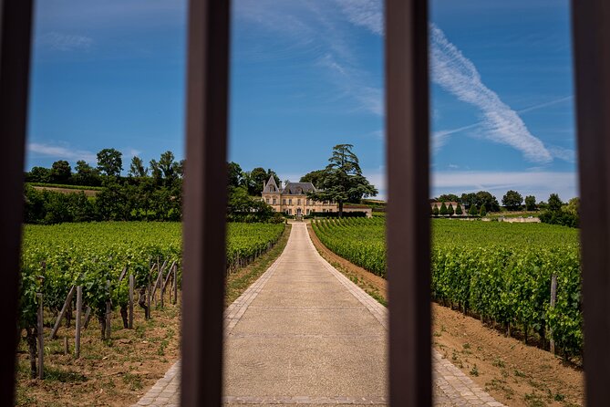Saint-Émilion Wine Tour By Premium Electric Bike, Lunch Included - Château Coutet and organic wine growing