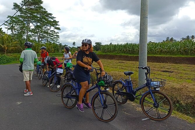 Sanur Village E-bike Tour: Family-Friendly Adventure - Rice fields and watermelon plots