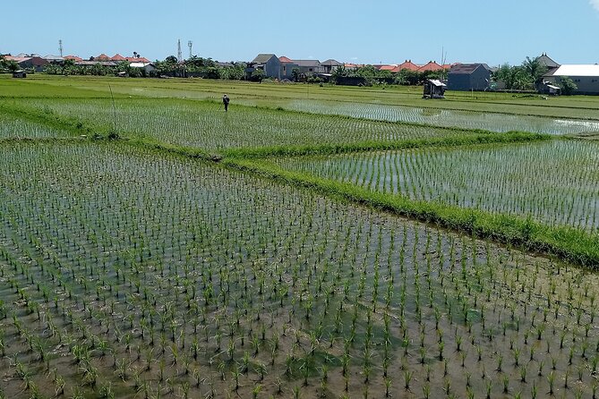 Sanur Village E-bike Tour: Family-Friendly Adventure - A real market, not a souvenir stop