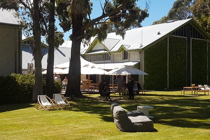 Self-Guided Biking Wine Tour (full day) in the Marlborough Region. - Choosing between a standard bike and an e-bike