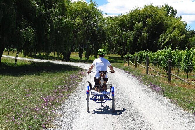 Self-Guided Wine Tours by Bike with Lorelle & Greg - Your morning pickup and bike fitting