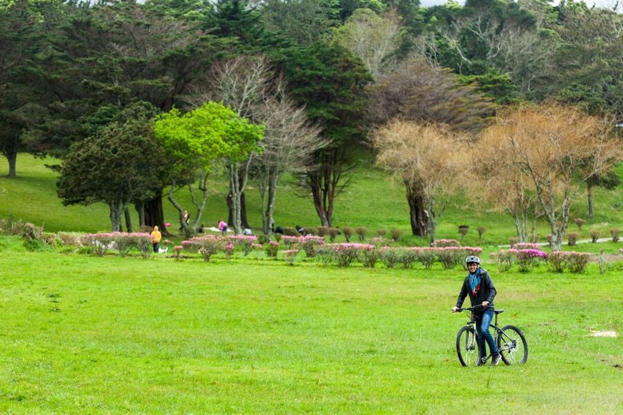Sete Cidades: Kayaking and Biking Adventure - Choosing the right order for your three hours
