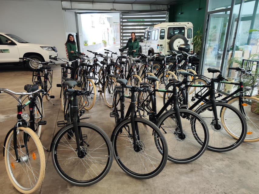 Seville: Bike Rental - Why Seville Works So Well by Bike