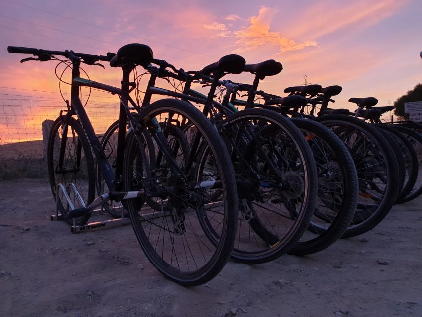 Seville: Bike Rental - Booking Flexibility and Language Support
