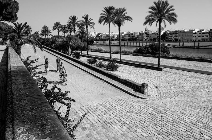 Seville: City Sightseeing and Local Culture Bike Tour - Price, timing, and who gets the most from it