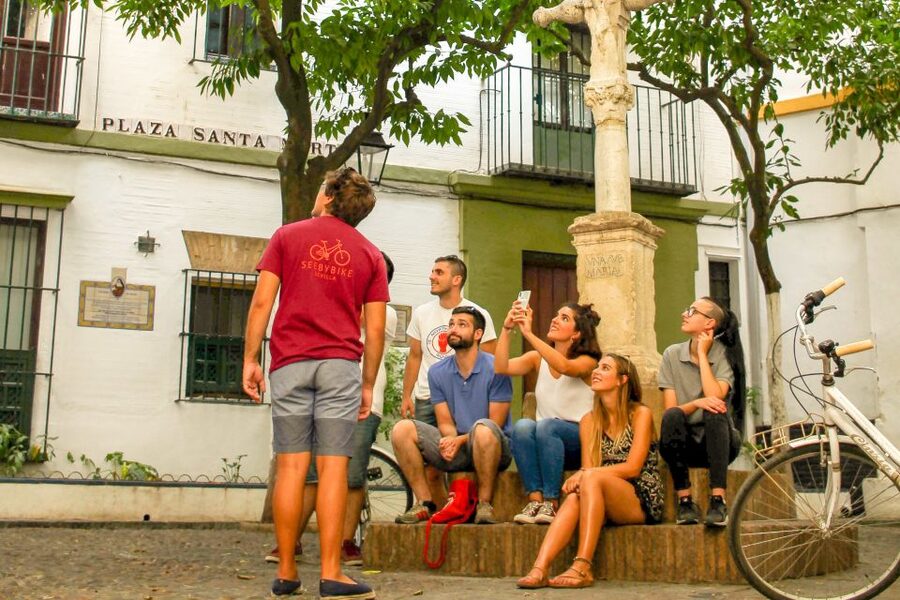 Seville: City Sightseeing and Local Culture Bike Tour - What the bikes and group pace are like