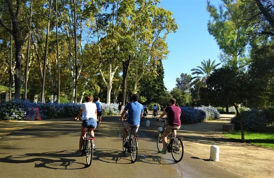 Seville: Electric Bike Tour in Small Group - Should you book the Seville e-bike tour?