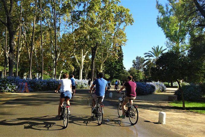 Seville Electric Bike Tour - Small Group - Price, timing, and what you actually receive
