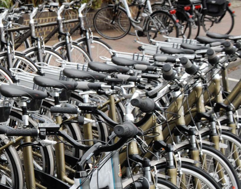 Seville: Guided Tour by Electric Bike - Plaza de España and the grand south side