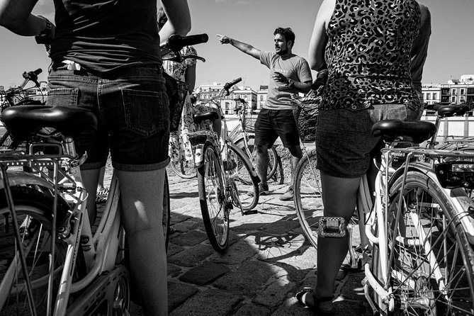 Seville Highlights Bike Tour (English) - Cathedral, Giralda, Santa Cruz, and the Alcázar