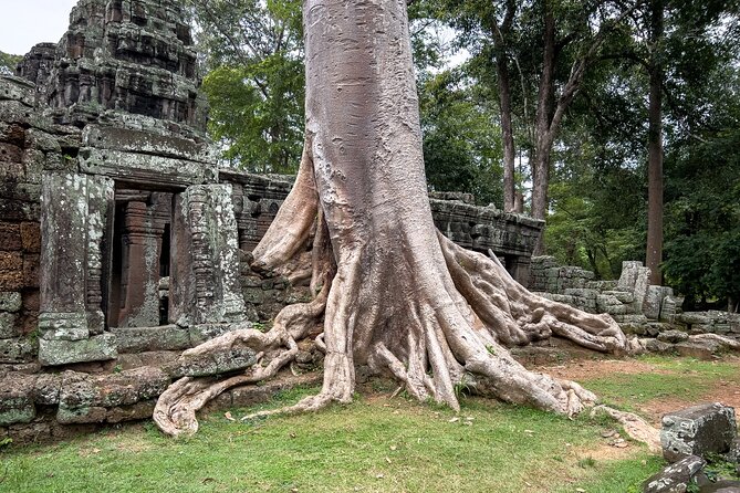 Siem Reap: Angkor Wat Sunrise Bike Tour & Jungle Breakfast - Bayon and the stone faces of Angkor Thom