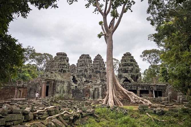 Siem Reap: Bike the Angkor Temples - Full-Day 30km Tour - Ta Prohm and the afternoon forest ride