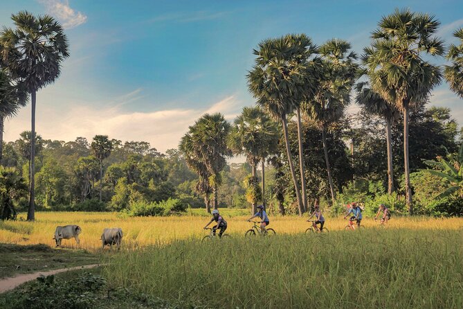 Siem Reap Countryside Guided Tour by Bike and E-Bike Private Tour - Key points at a glance